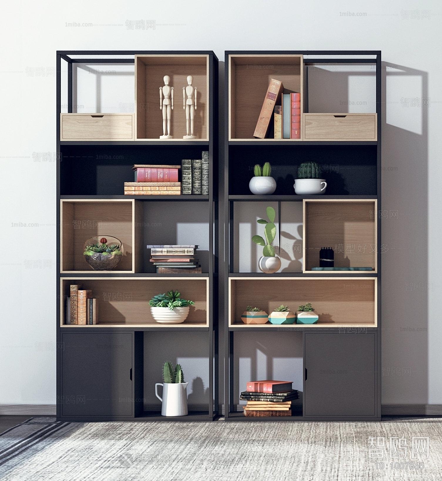 Modern Bookcase