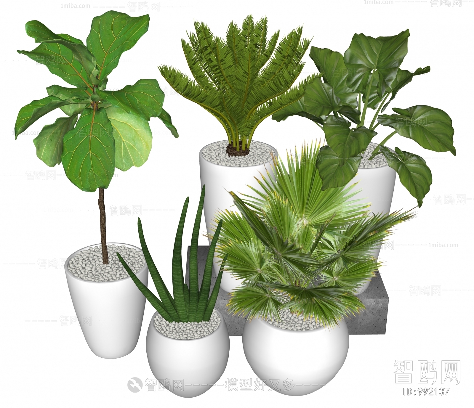 Modern Potted Green Plant