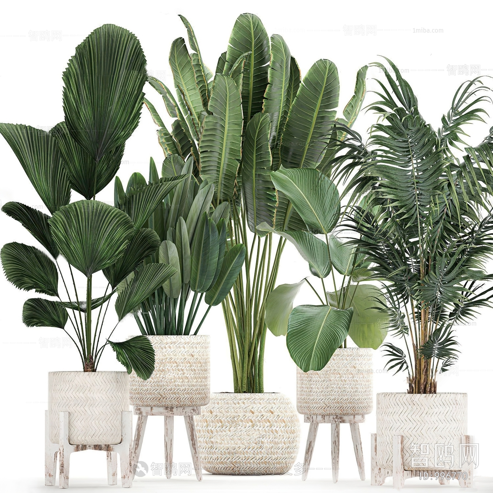 Modern Potted Green Plant