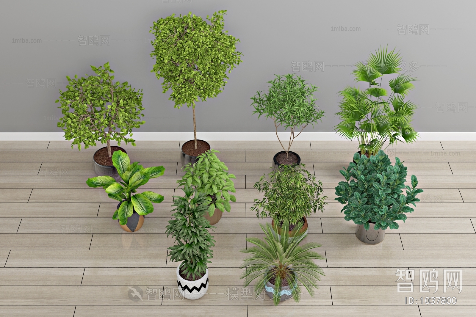 Modern Potted Green Plant