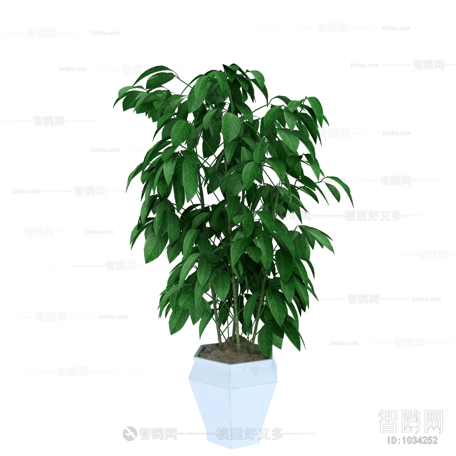 Modern Potted Green Plant