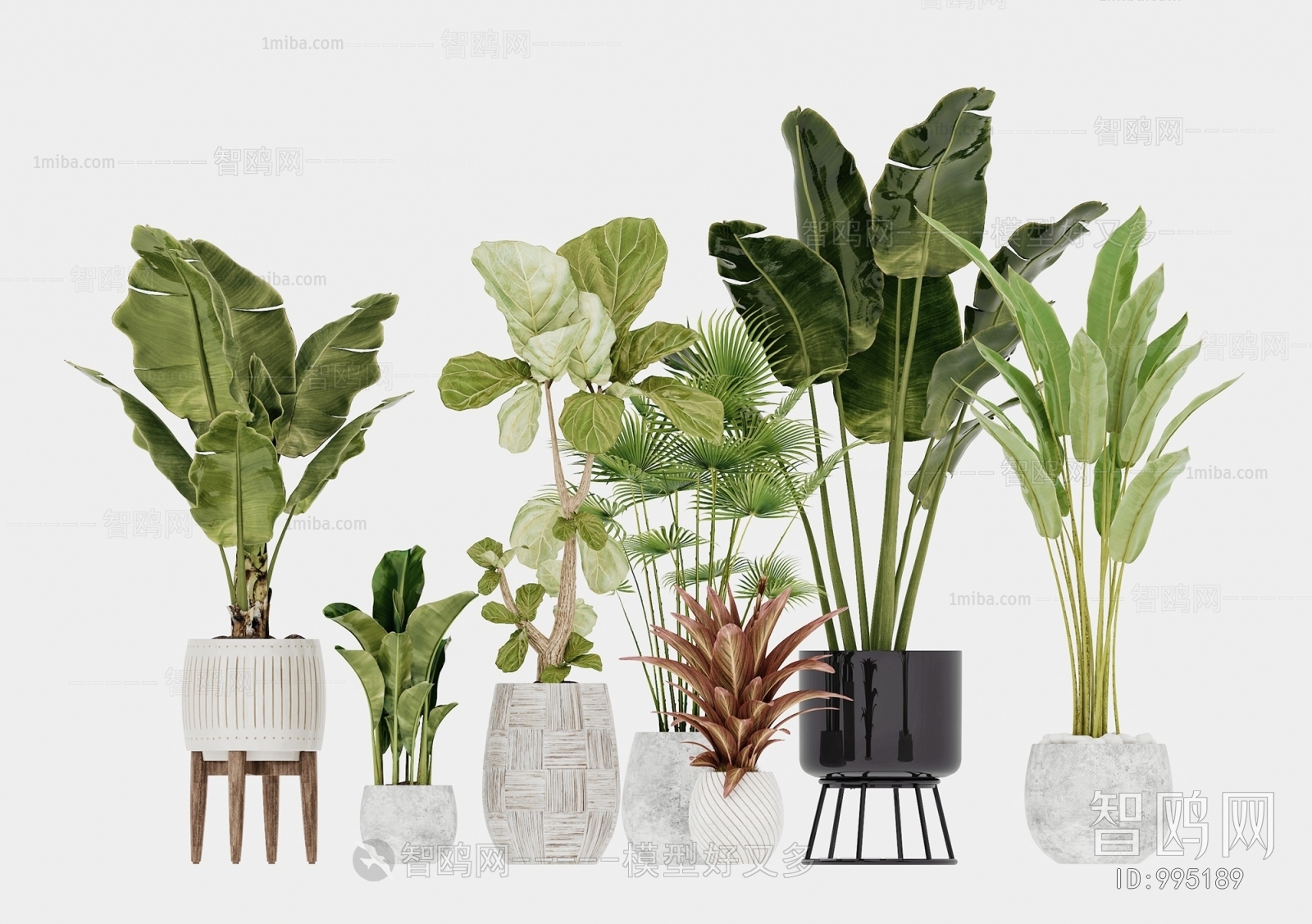 Modern Potted Green Plant