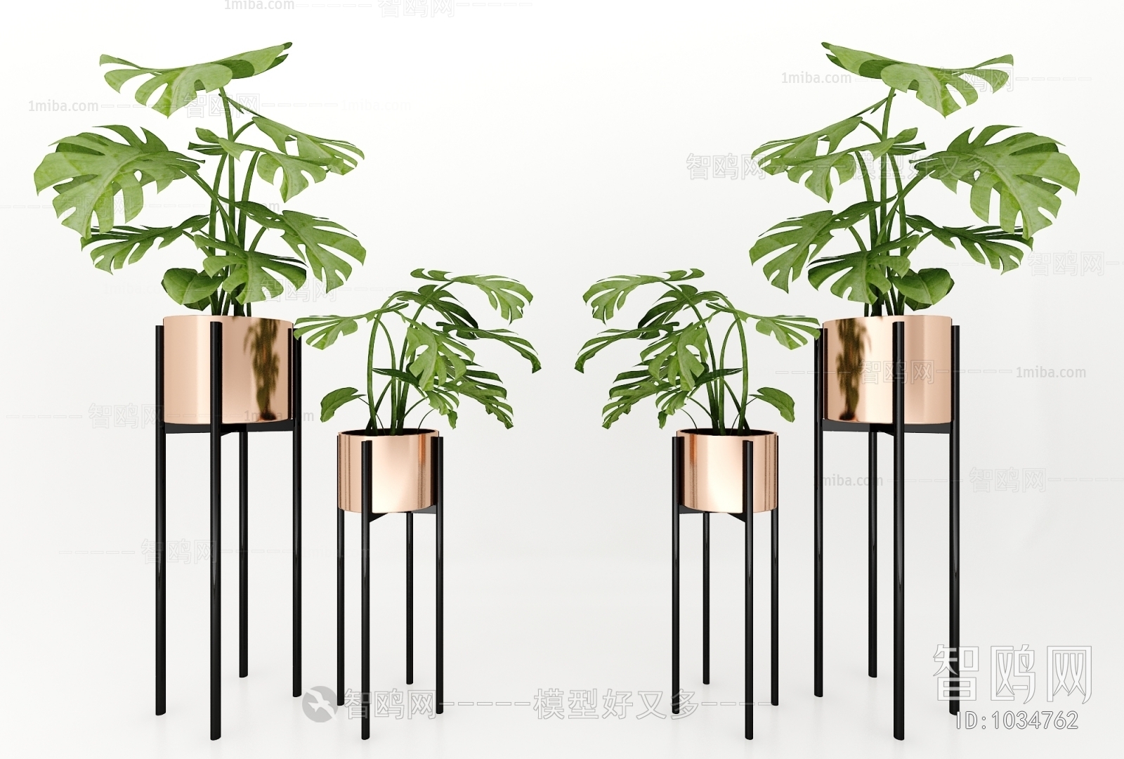 Modern Potted Green Plant