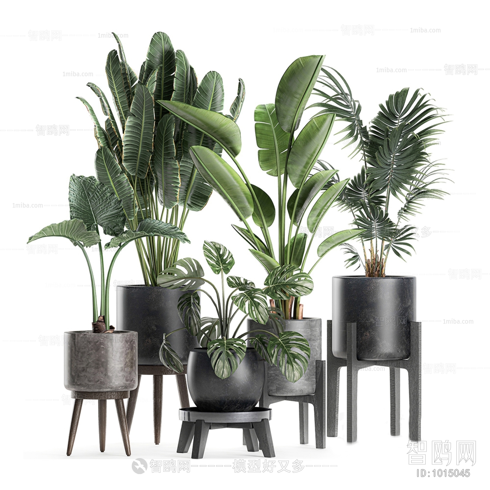 Modern Potted Green Plant