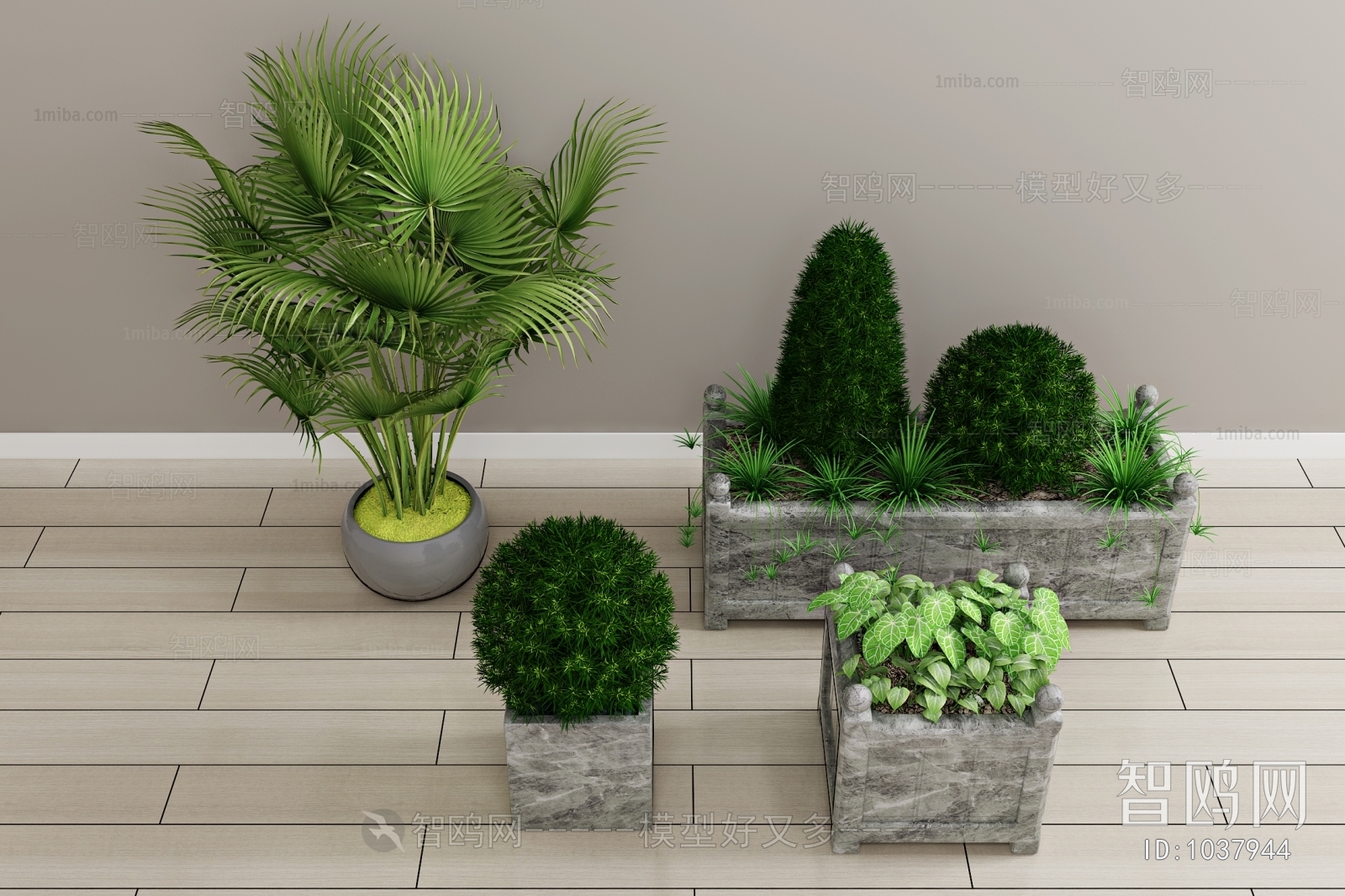 Modern Potted Green Plant