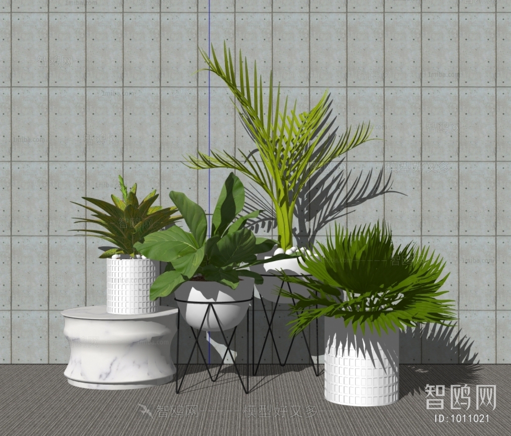 Modern Potted Green Plant