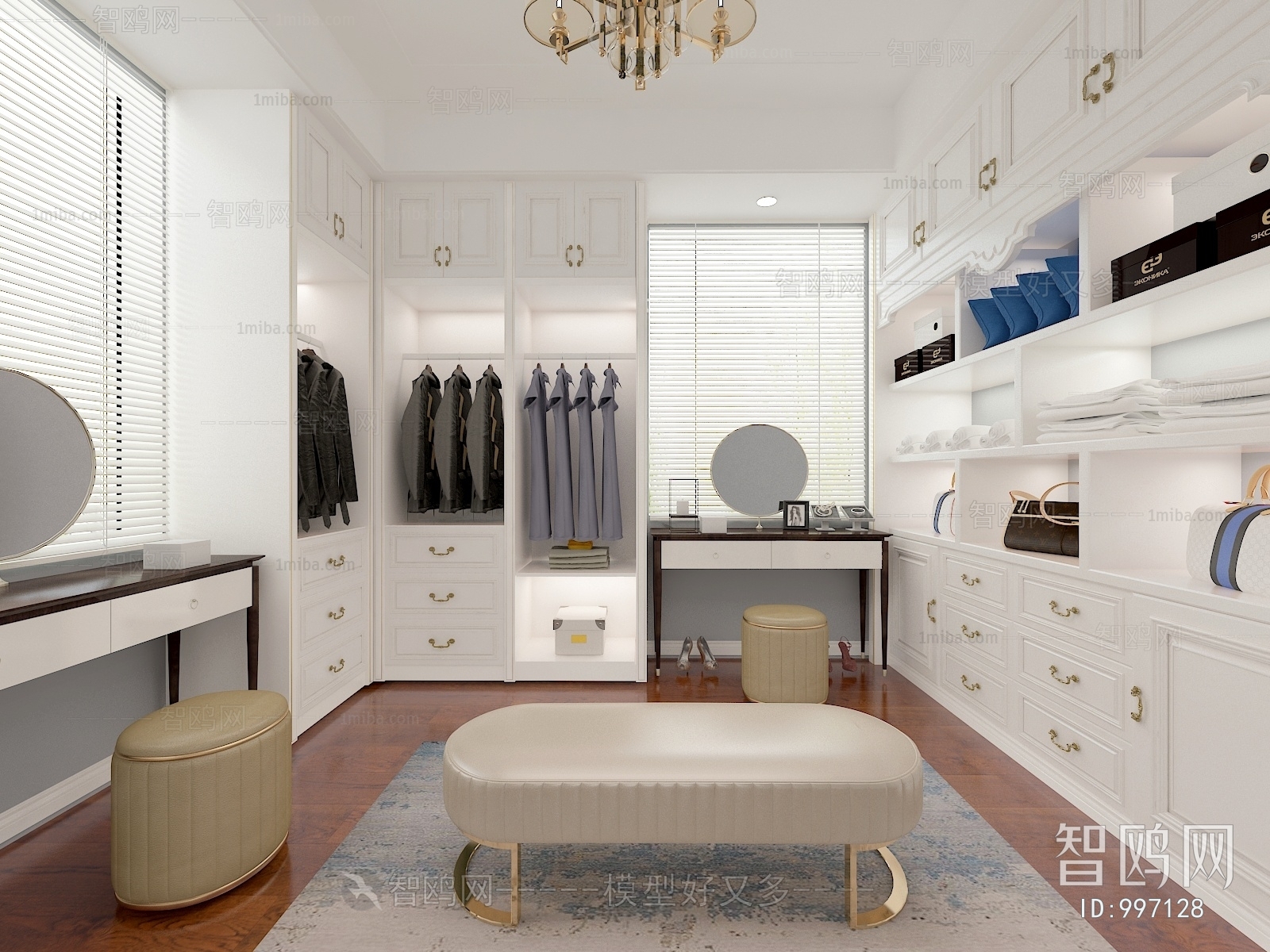 Modern Clothes Storage Area