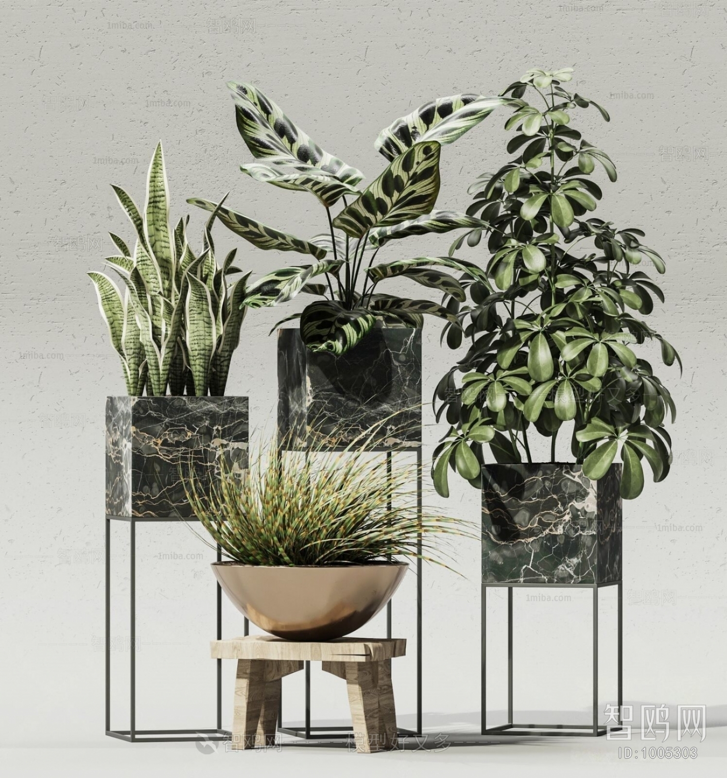 Modern Potted Green Plant