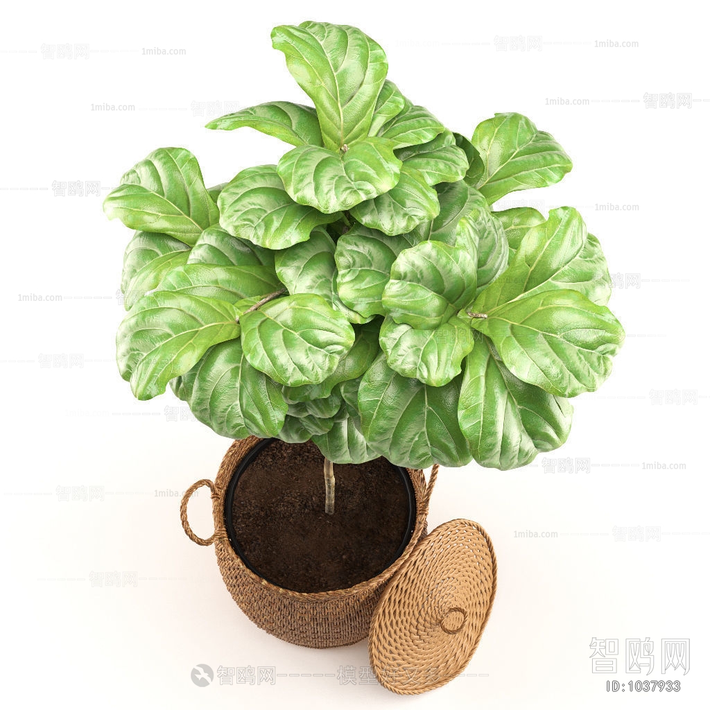 Modern Potted Green Plant