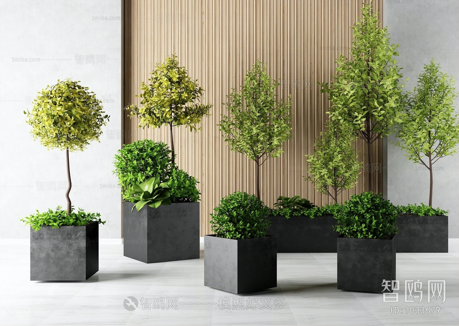 Modern Potted Green Plant