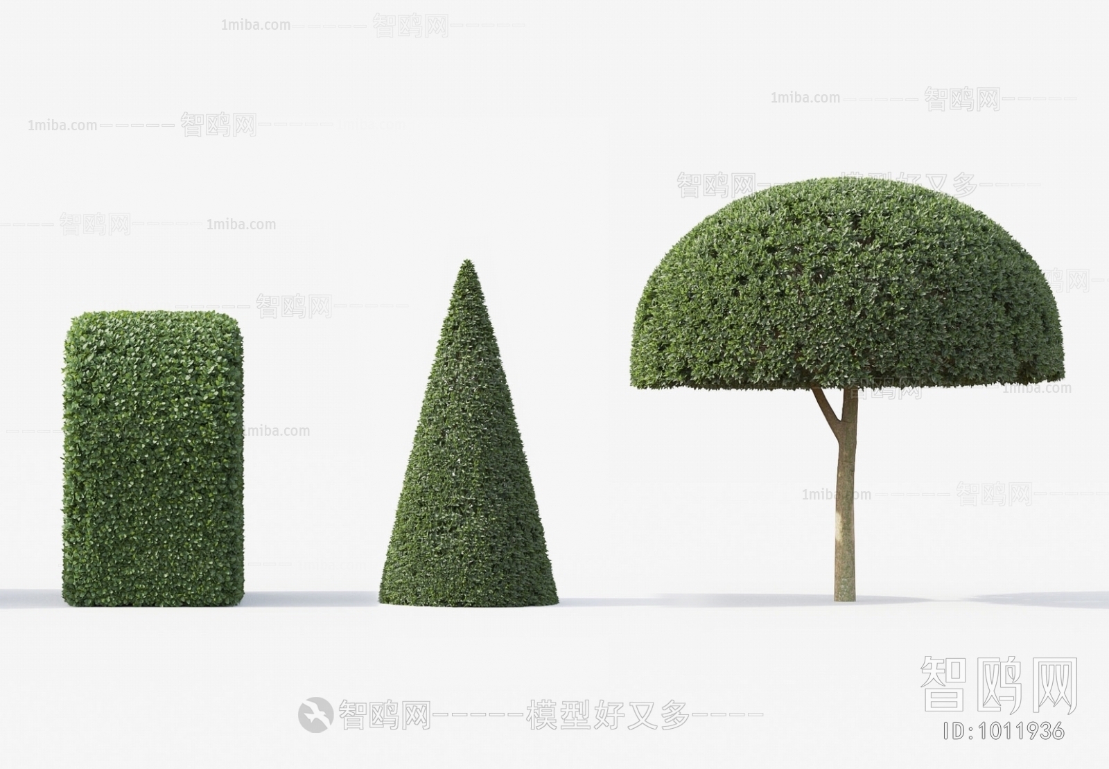 Modern Shrubbery