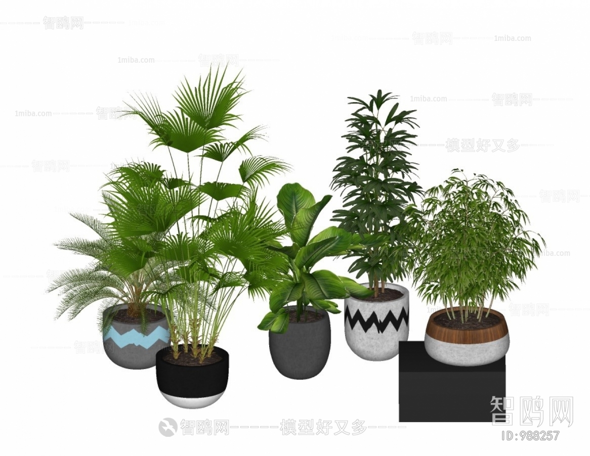 现代绿植盆栽组合