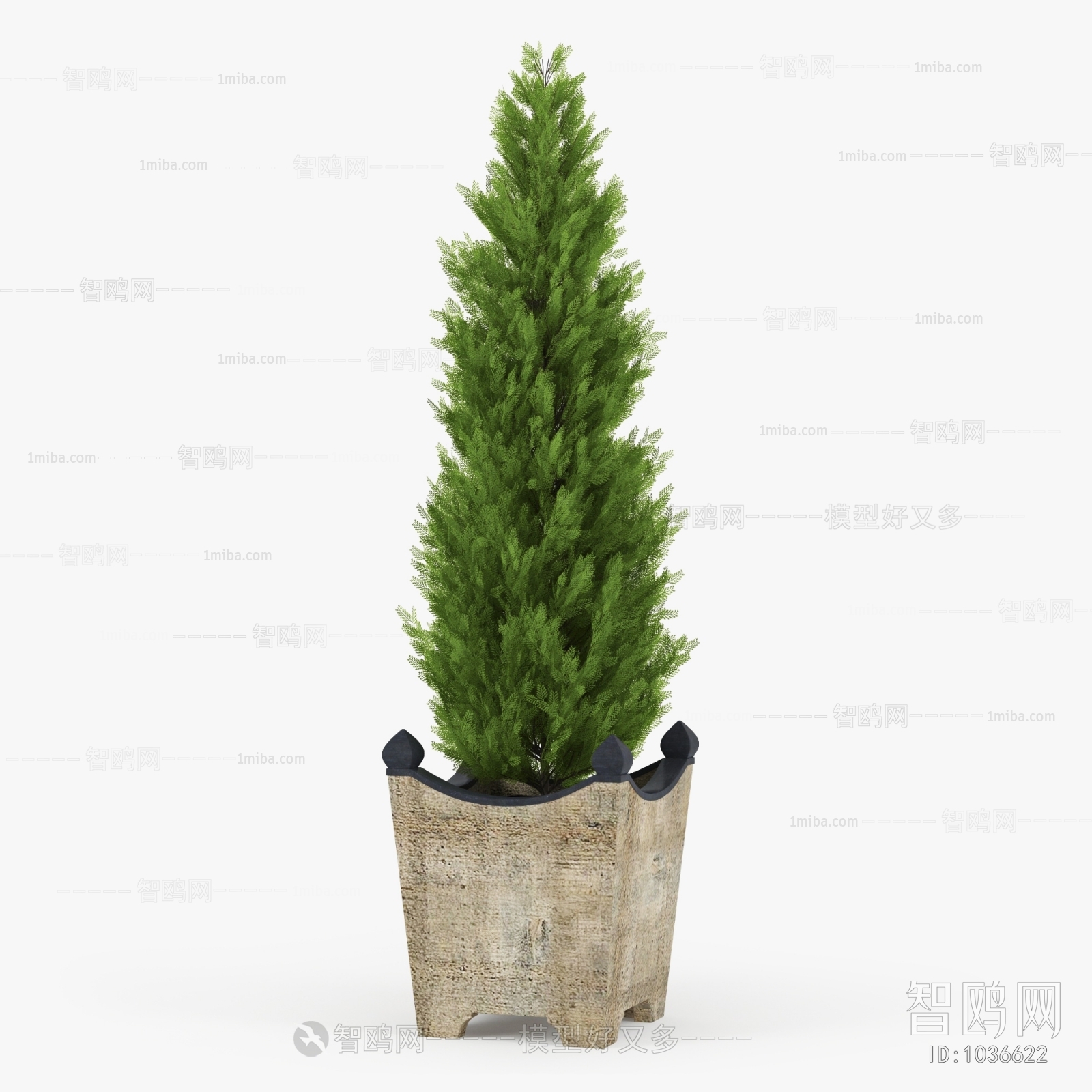 Modern Potted Green Plant