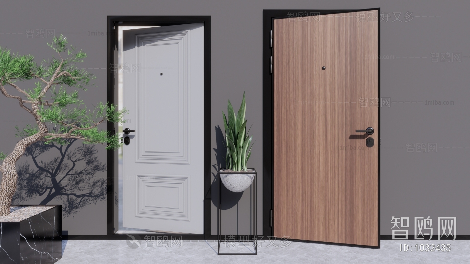 Modern Door