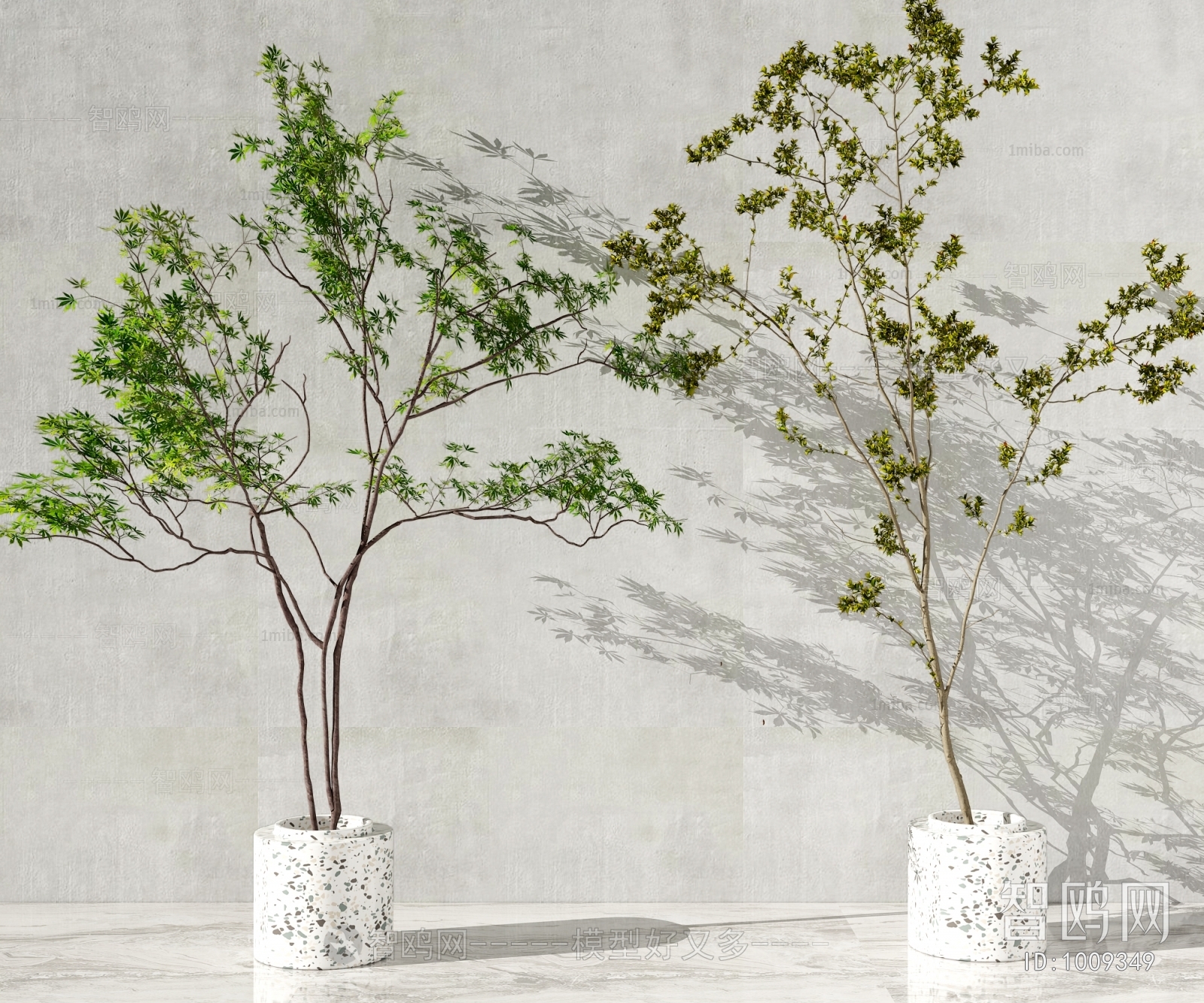 Modern Potted Green Plant