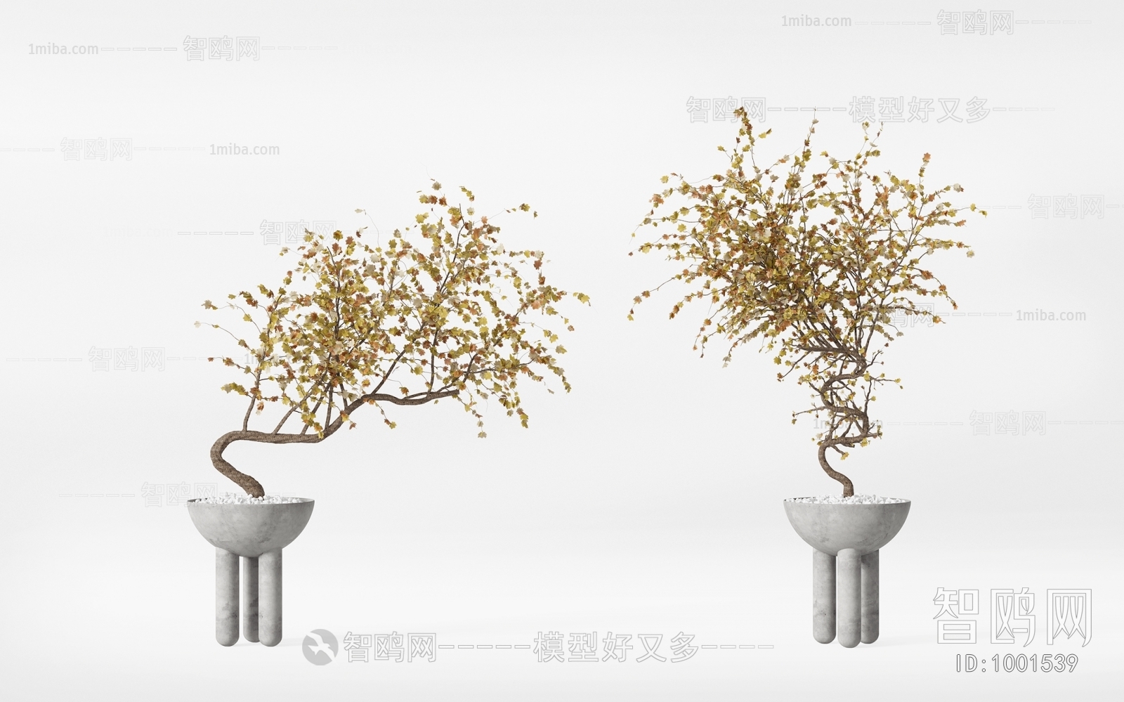 Modern Bonsai