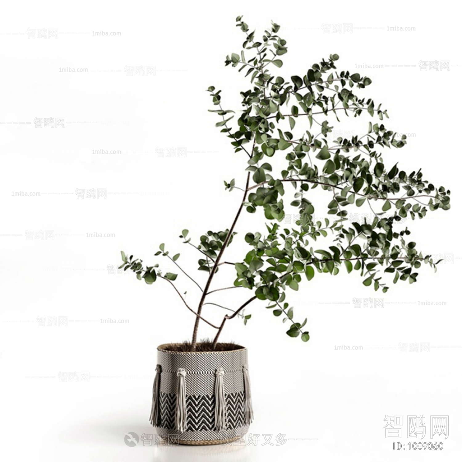 Modern Bonsai