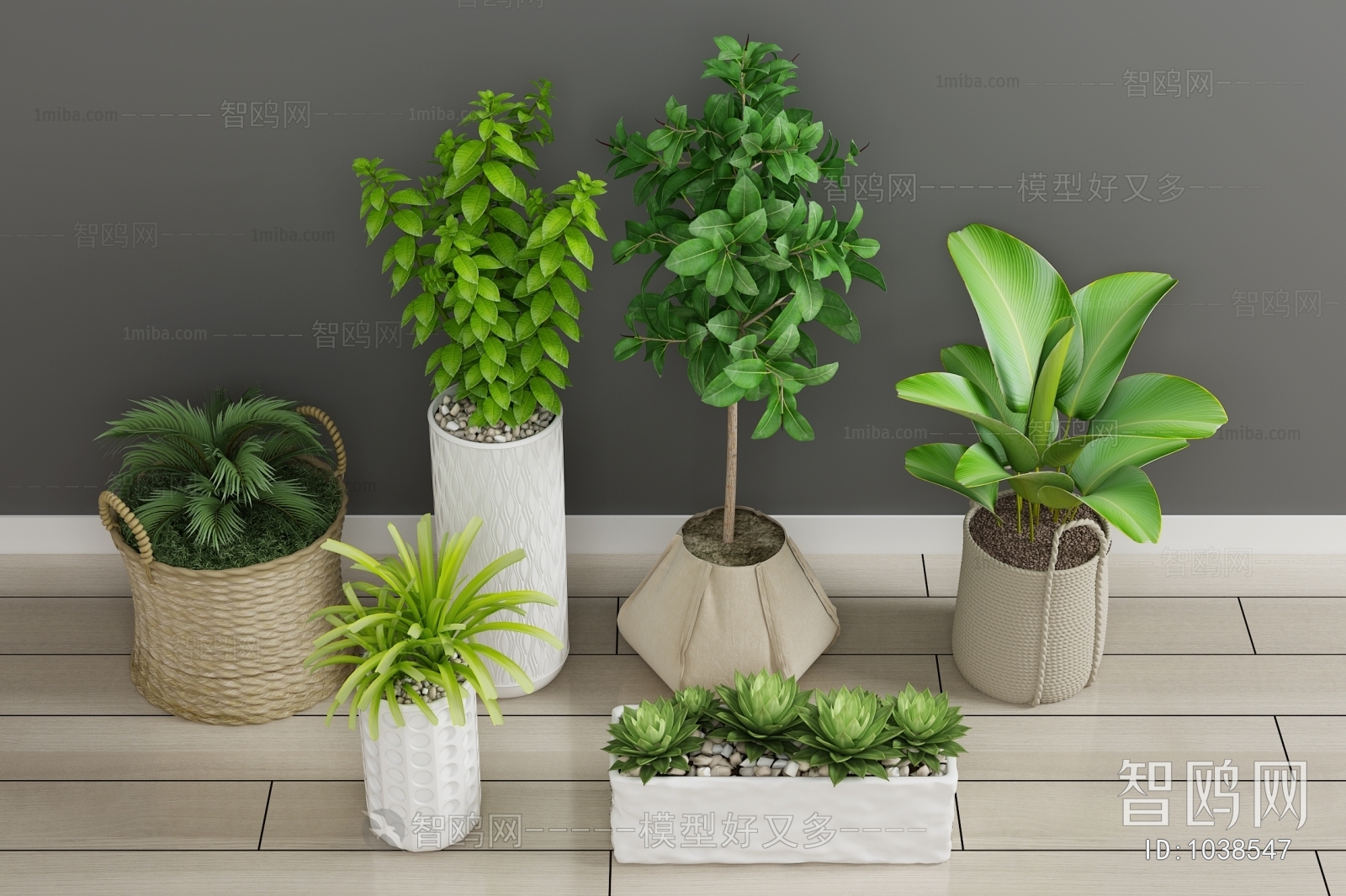 Modern Potted Green Plant