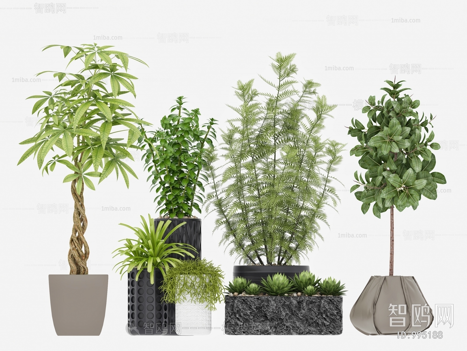 Modern Potted Green Plant