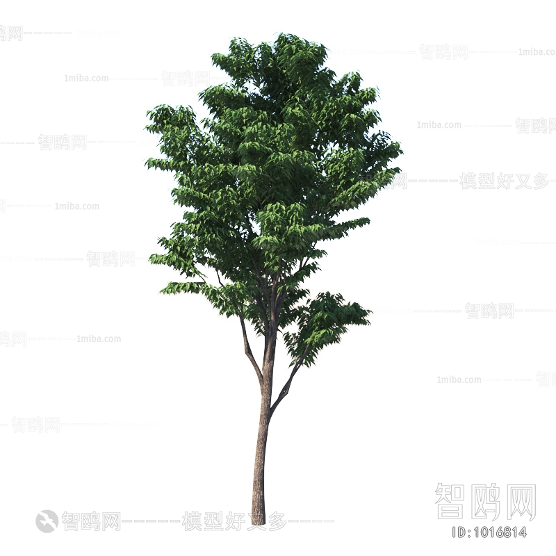 Modern Tree