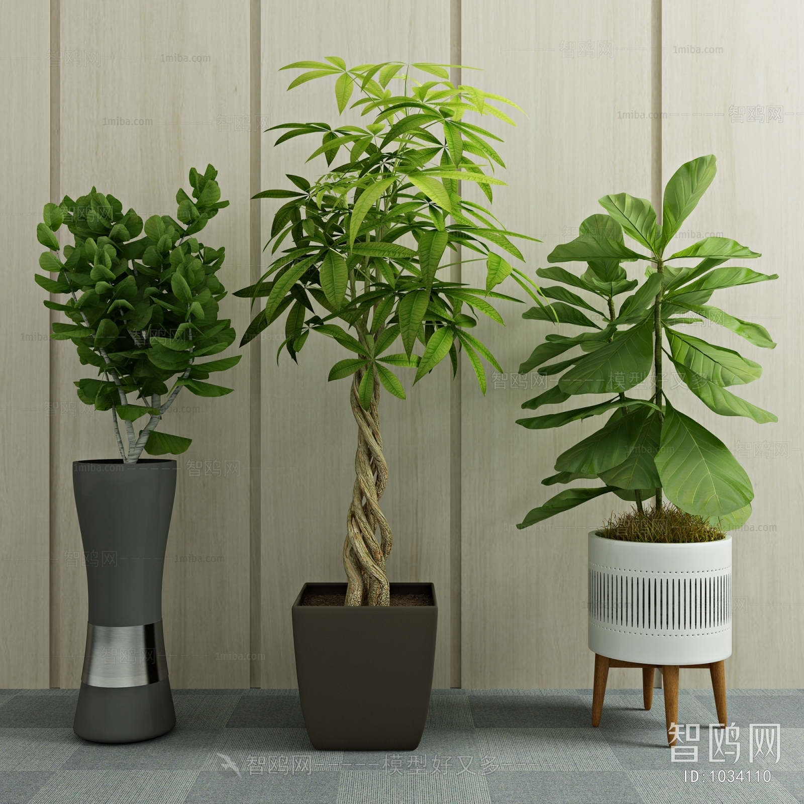 Modern Potted Green Plant