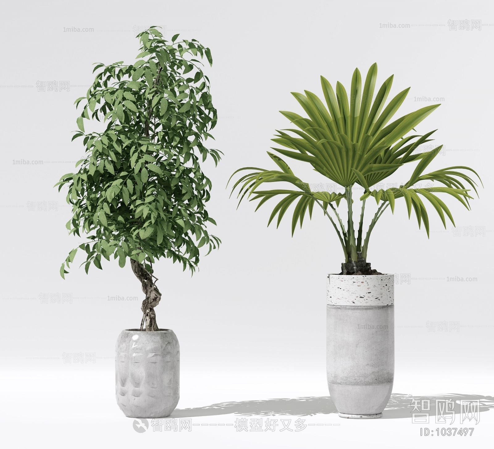 Modern Potted Green Plant