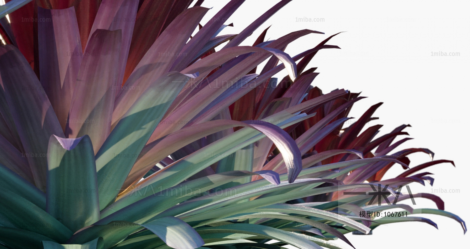 Modern Tree/shrub/grass