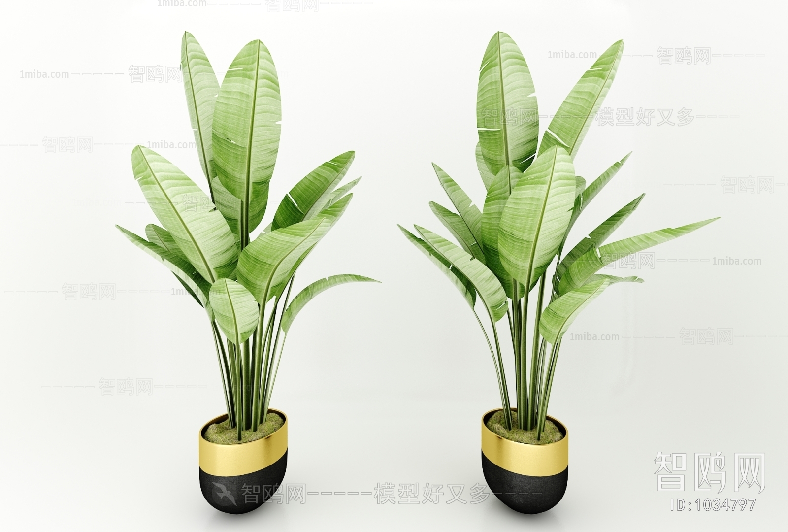 Modern Potted Green Plant