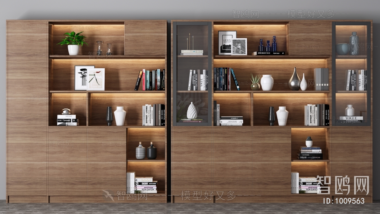 Modern Bookcase