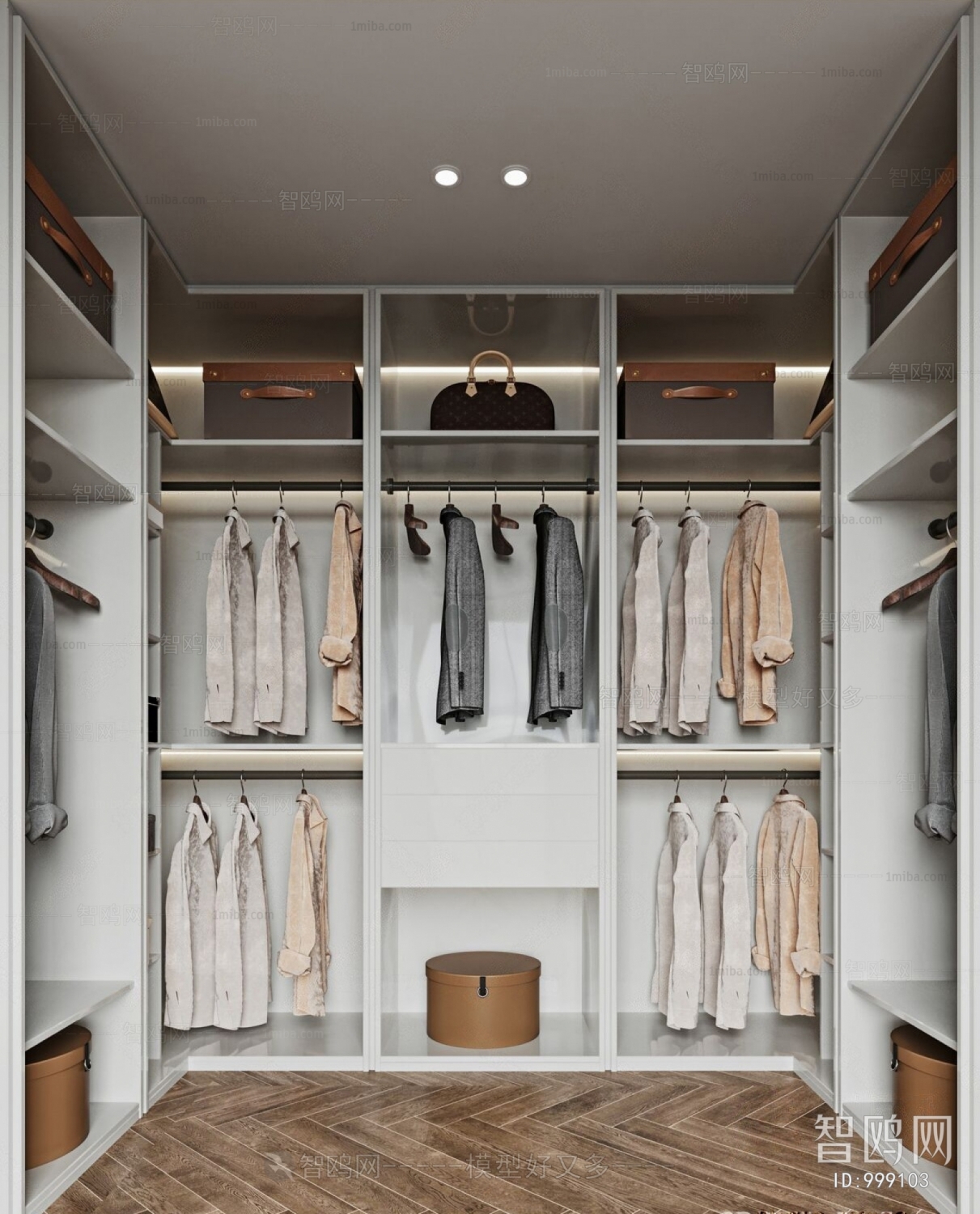 Modern Clothes Storage Area