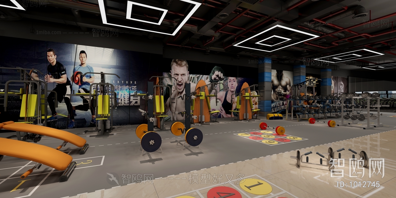 Modern Gym