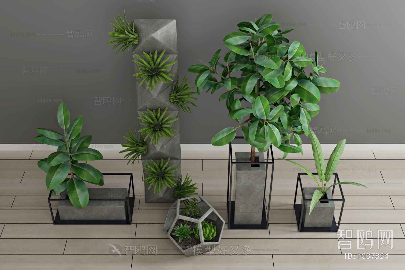 Modern Potted Green Plant