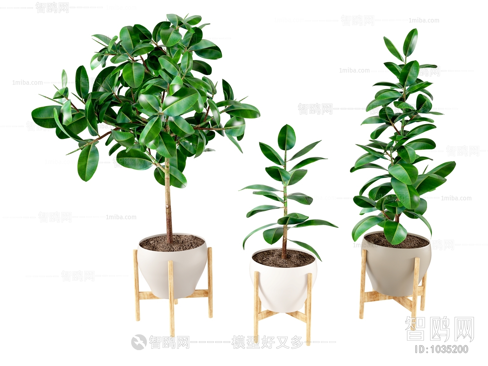 Modern Potted Green Plant