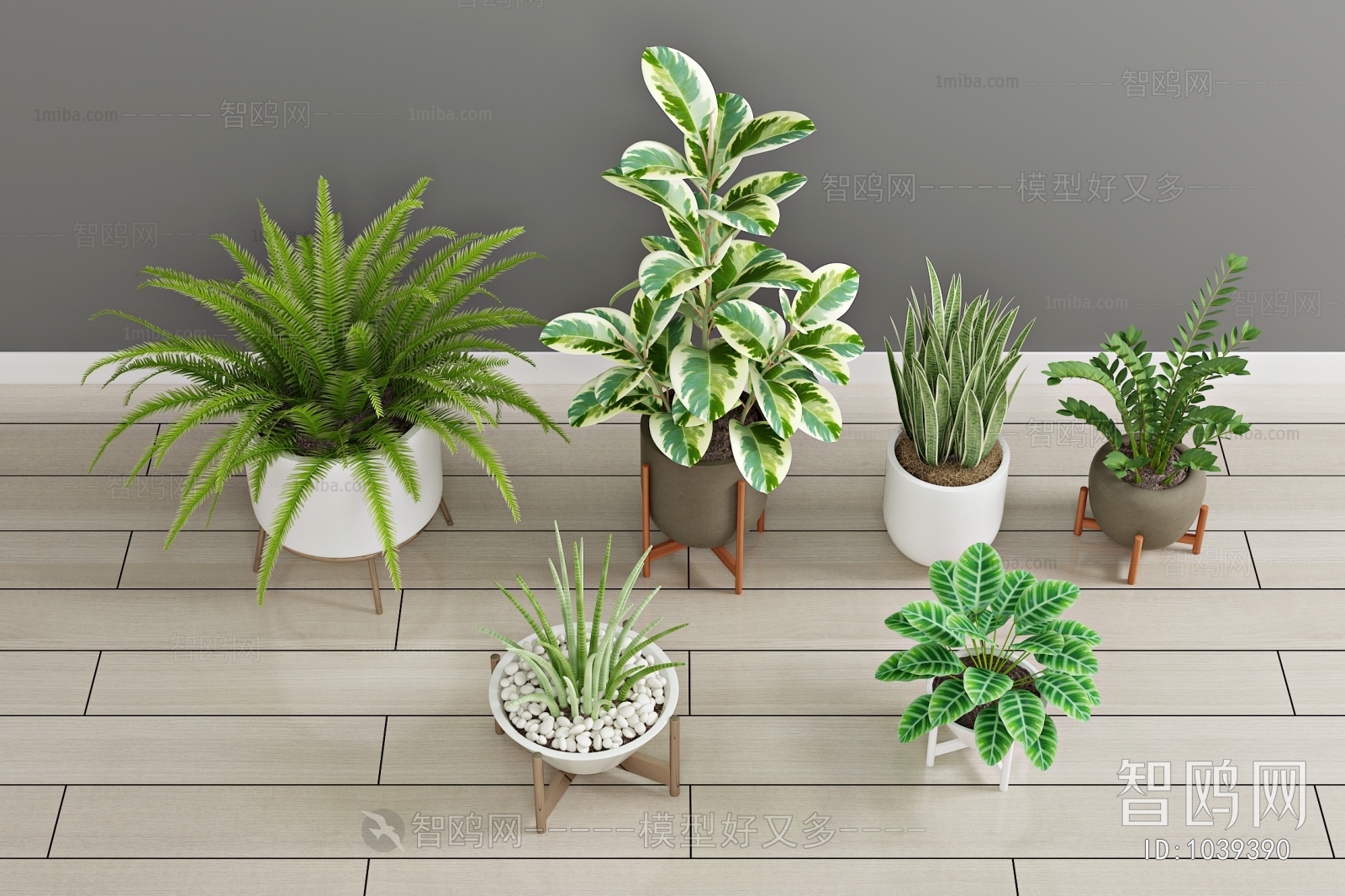 Modern Potted Green Plant