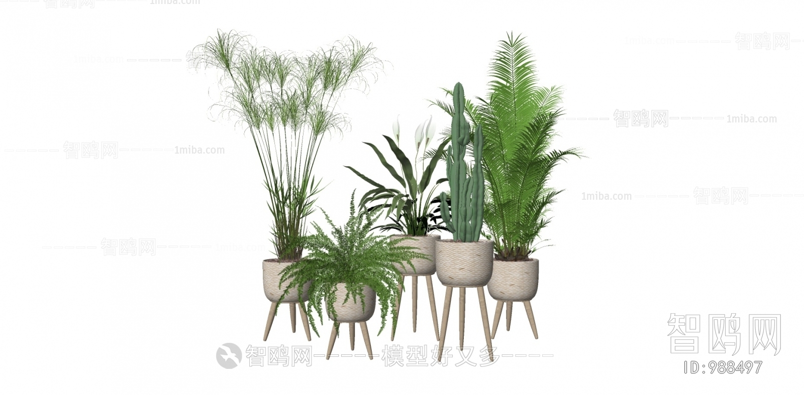 Modern Potted Green Plant