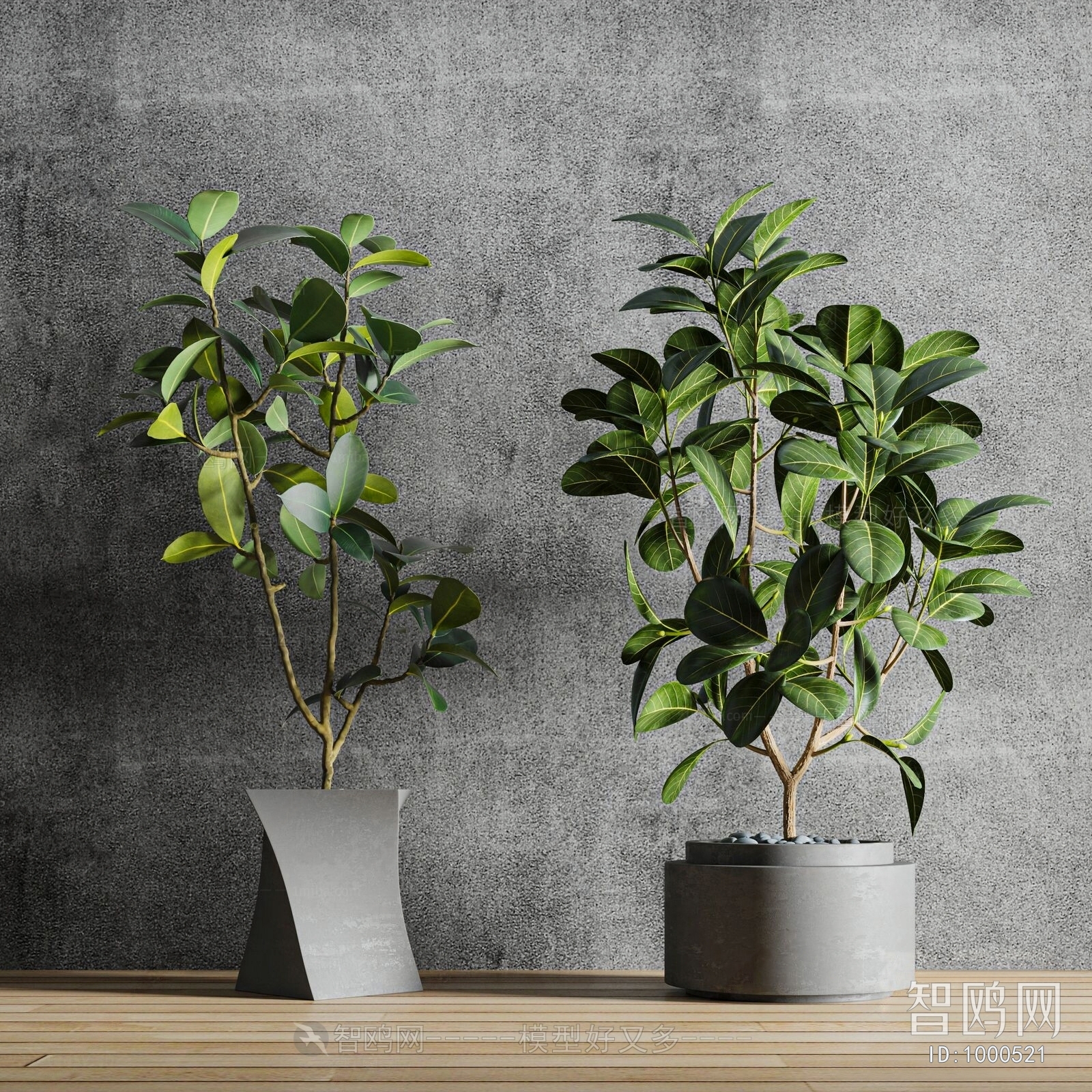 Modern Potted Green Plant