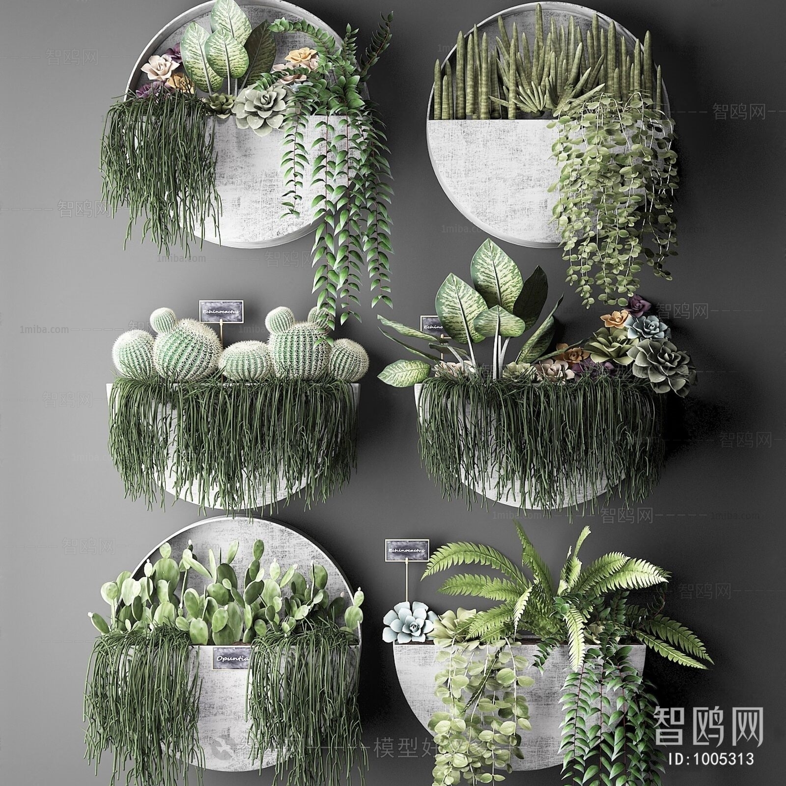 现代绿植墙饰植物组合