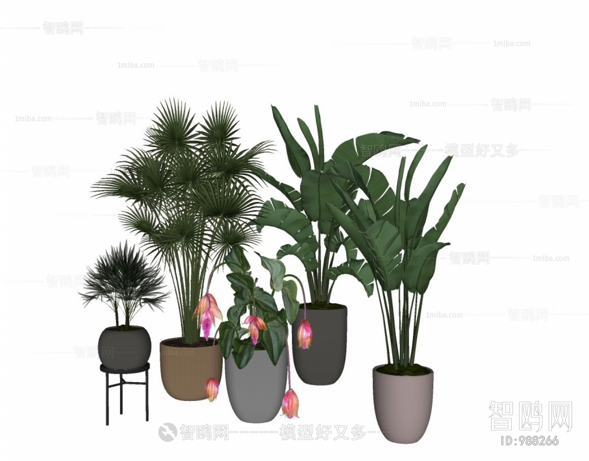 Modern Potted Green Plant