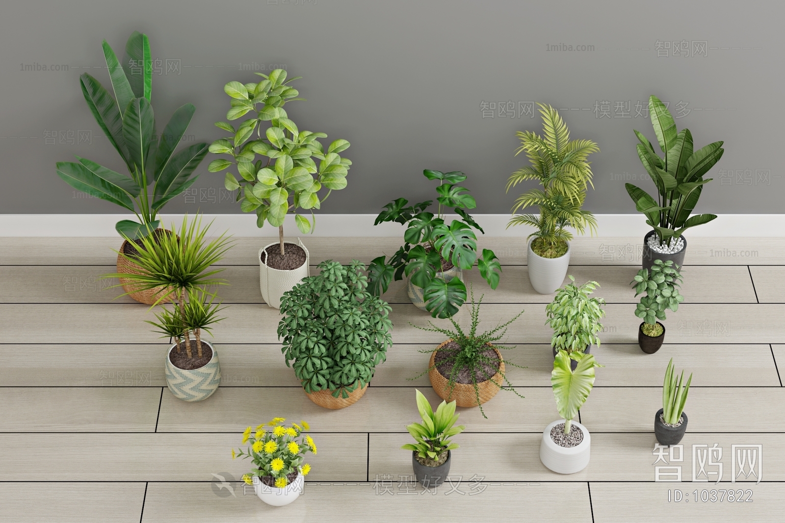 Modern Potted Green Plant