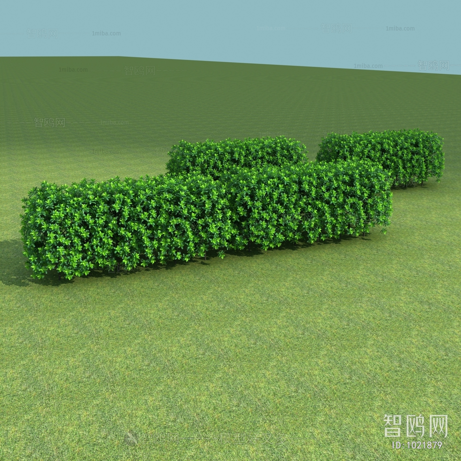 Modern Shrubbery