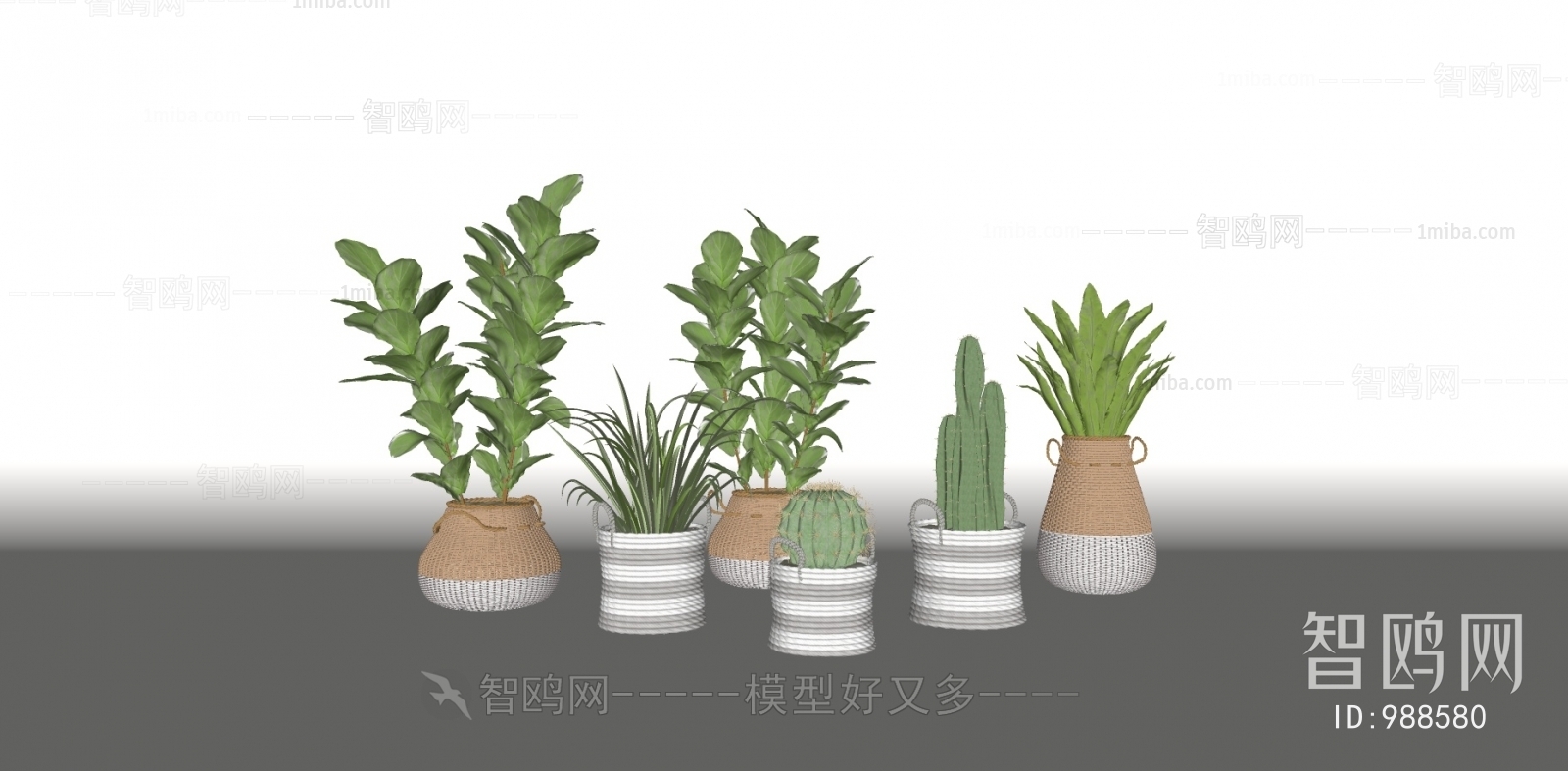 现代绿植盆栽组合