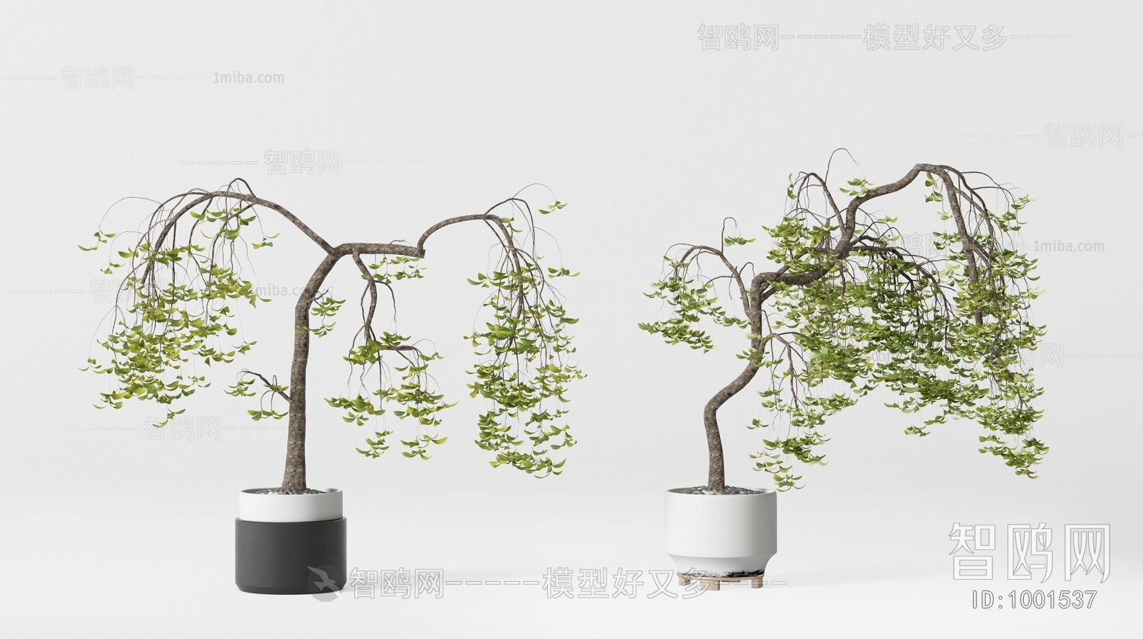 Modern Bonsai