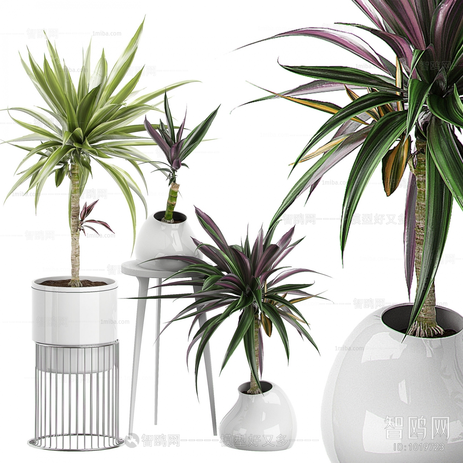 Modern Potted Green Plant