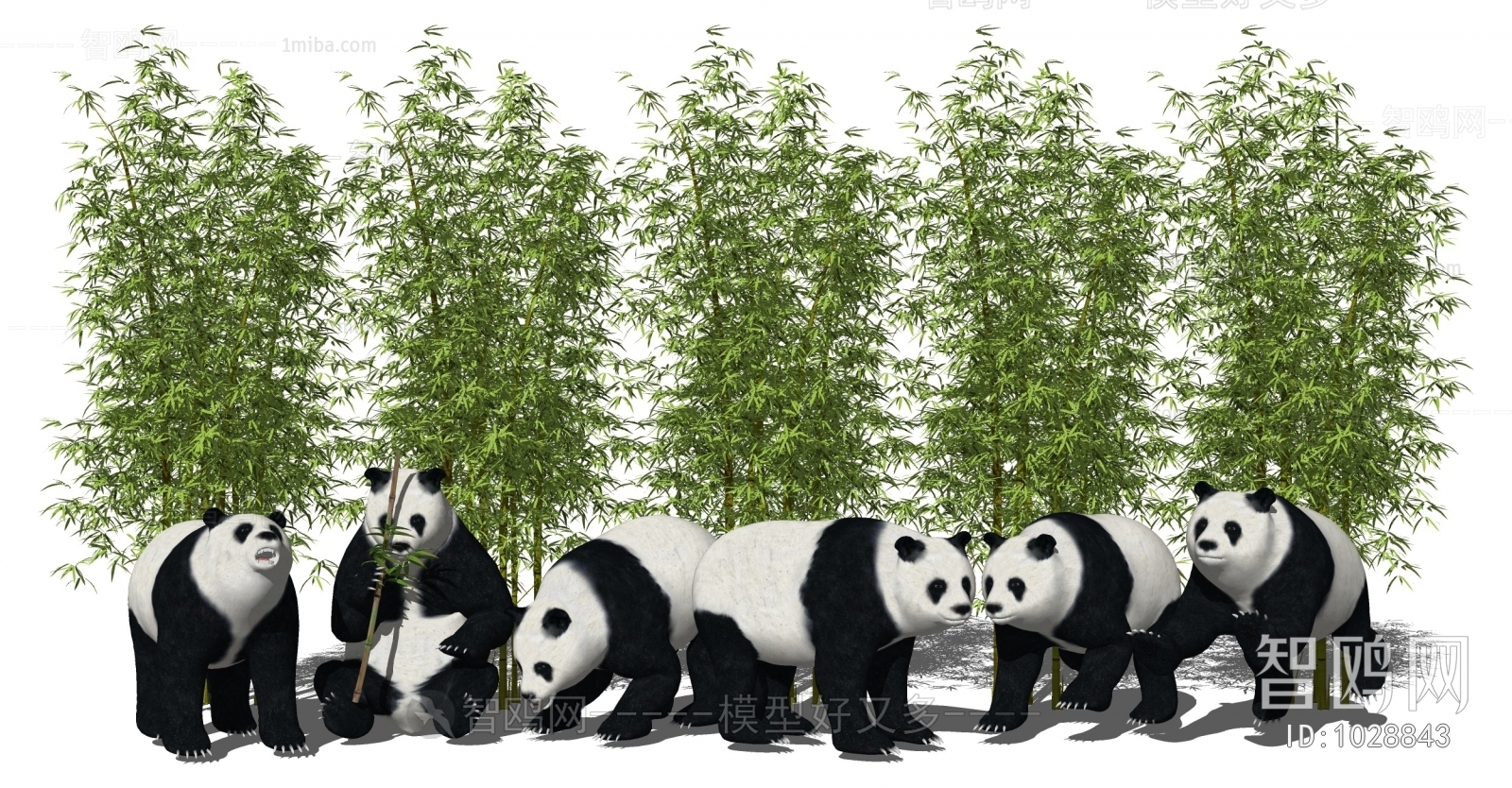 现代大熊猫、竹子