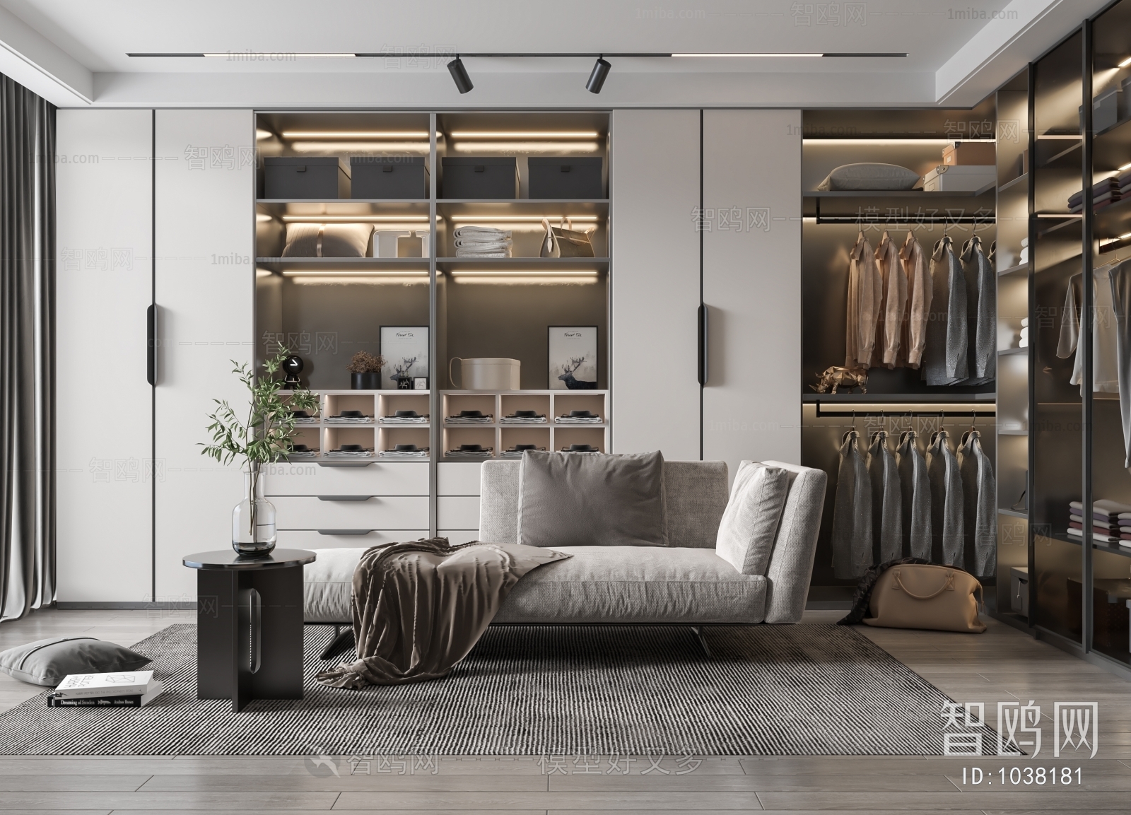 Modern Clothes Storage Area