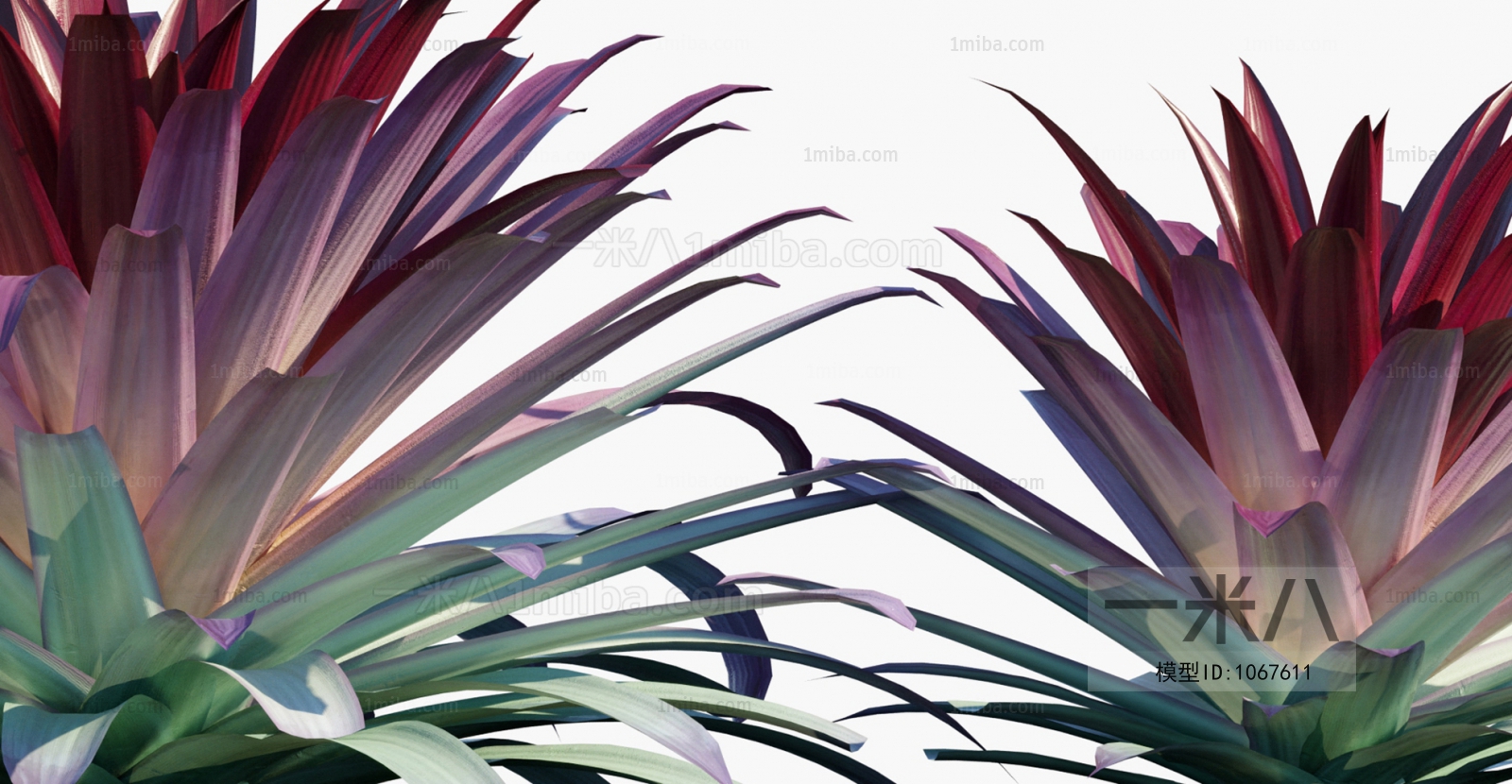 Modern Tree/shrub/grass