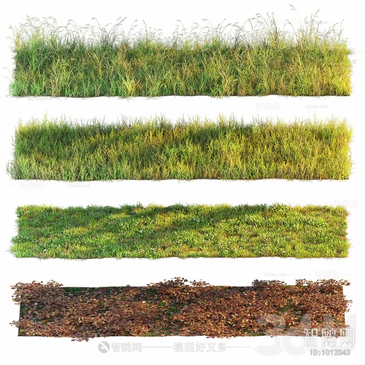 Modern The Grass