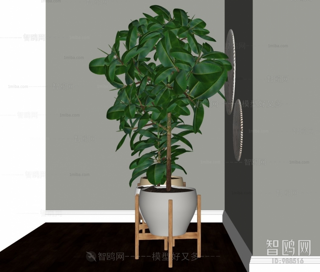 Modern Potted Green Plant