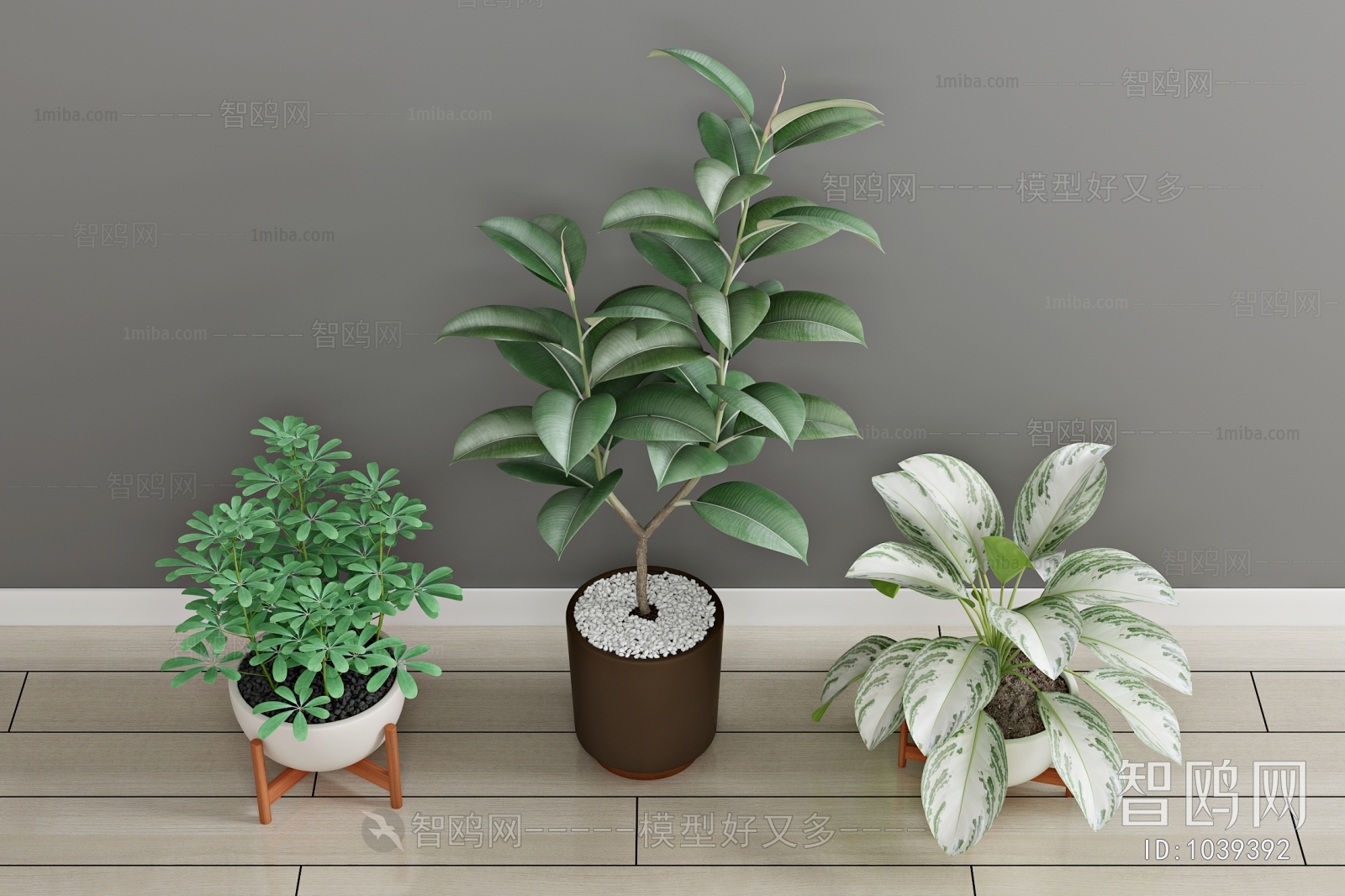 Modern Potted Green Plant