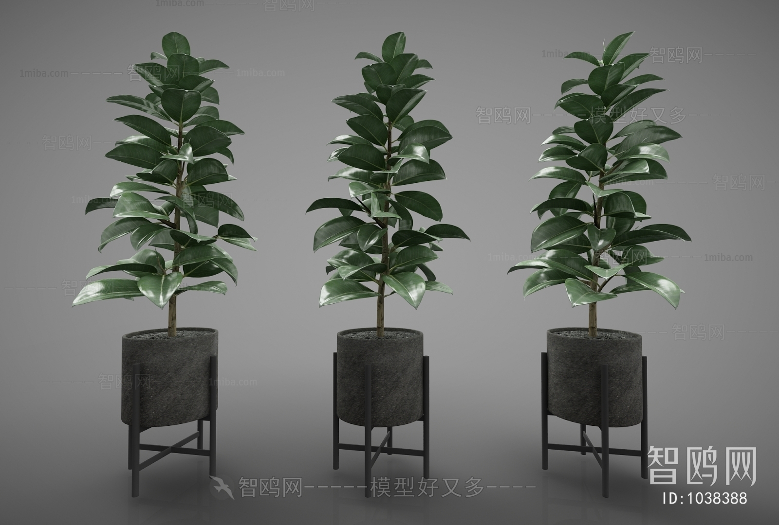 Modern Potted Green Plant